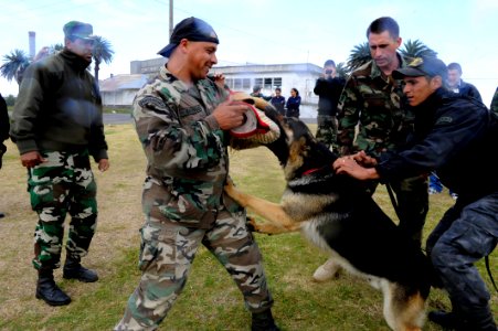 US Navy 101117-N-8546L-641 U.S. Navy Chief Master-at-Arms Nick Estrada, second from right, a military working dog handler from Orange, Calif