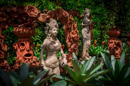 Sculpture garden plant