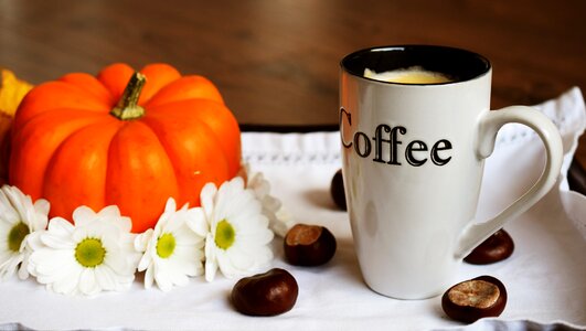 Orange flowers morning