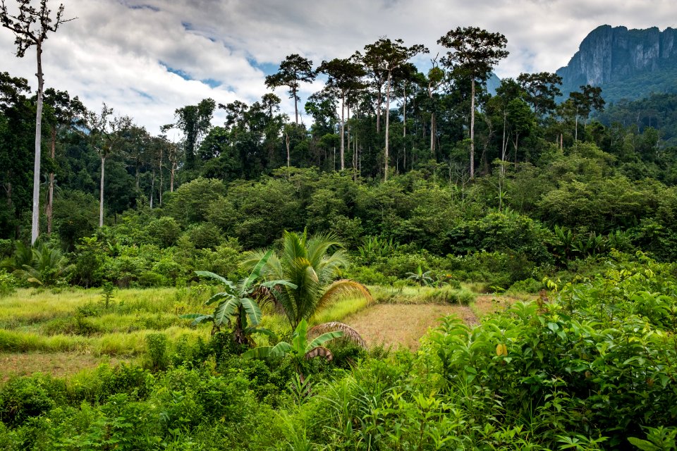 USAID Measuring Impact Conservation Enterprise Retrospective (Philippines; Nagkakaisang Tribu ng Palawan) (39395880095)