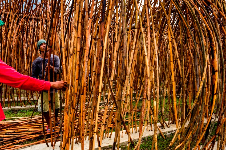 USAID Measuring Impact Conservation Enterprise Retrospective (Philippines; Nagkakaisang Tribu ng Palawan) (38483157770)