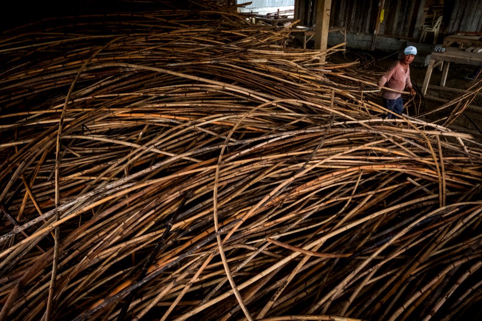 USAID Measuring Impact Conservation Enterprise Retrospective (Philippines; Nagkakaisang Tribu ng Palawan) (38483162130)