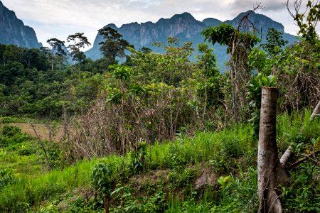 USAID Measuring Impact Conservation Enterprise Retrospective (Philippines; Nagkakaisang Tribu ng Palawan) (38483434380)