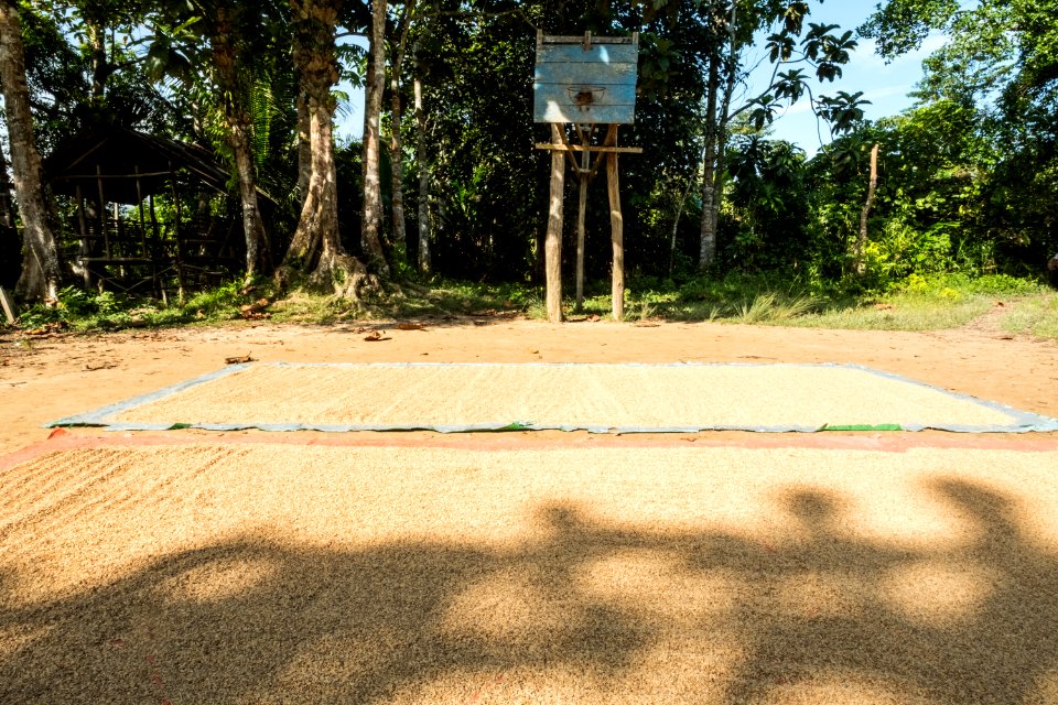 USAID Measuring Impact Conservation Enterprise Retrospective (Philippines; Nagkakaisang Tribu ng Palawan) (38483354820)