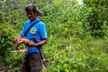 USAID Measuring Impact Conservation Enterprise Retrospective (Philippines; Nagkakaisang Tribu ng Palawan) (38483191960)