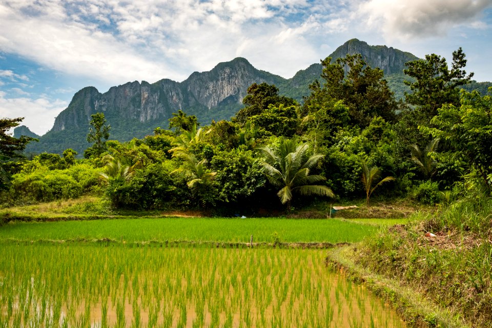 USAID Measuring Impact Conservation Enterprise Retrospective (Philippines; Nagkakaisang Tribu ng Palawan) (26420931018)