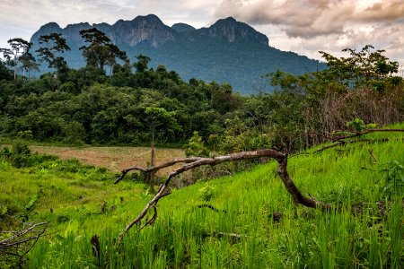 USAID Measuring Impact Conservation Enterprise Retrospective (Philippines; Nagkakaisang Tribu ng Palawan) (26420937328)