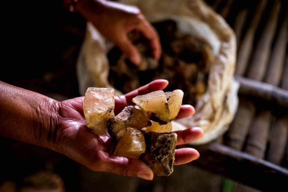 USAID Measuring Impact Conservation Enterprise Retrospective (Philippines; Nagkakaisang Tribu ng Palawan) (26420856838)