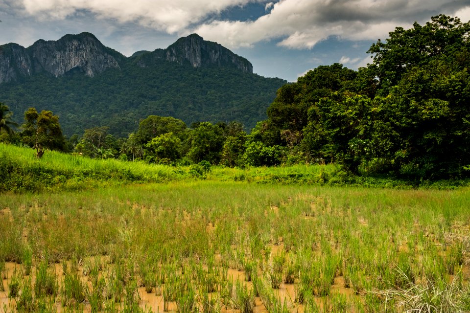 USAID Measuring Impact Conservation Enterprise Retrospective (Philippines; Nagkakaisang Tribu ng Palawan) (26420934128)