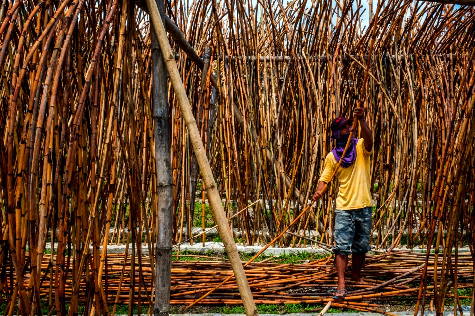 USAID Measuring Impact Conservation Enterprise Retrospective (Philippines; Nagkakaisang Tribu ng Palawan) (26420583148)