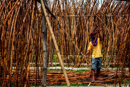 USAID Measuring Impact Conservation Enterprise Retrospective (Philippines; Nagkakaisang Tribu ng Palawan) (26420583148)