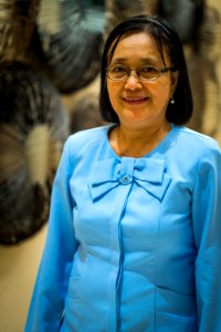 USAID Measuring Impact Conservation Enterprise Retrospective (Philippines; Nagkakaisang Tribu ng Palawan) (26420578338)
