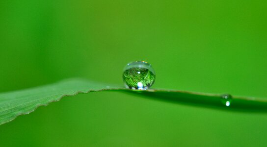 Rain nature wet photo