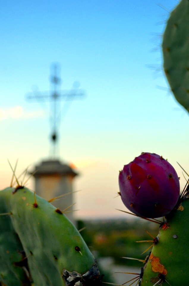 Cross sunset neviano