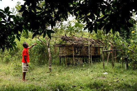 USAID Measuring Impact Conservation Enterprise Retrospective (Philippines; Nagkakaisang Tribu ng Palawan) (26420744518)