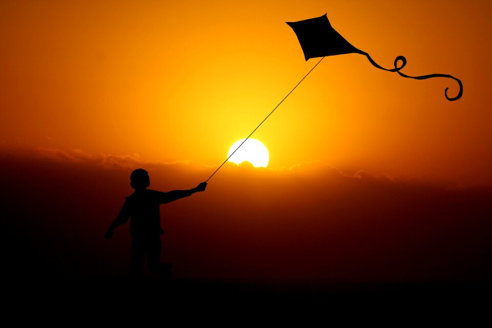 Dragon flight wind dragon fly
