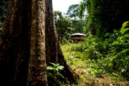 USAID Measuring Impact Conservation Enterprise Retrospective (Philippines; Nagkakaisang Tribu ng Palawan) (25422061217)