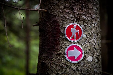 Outdoors hiking path