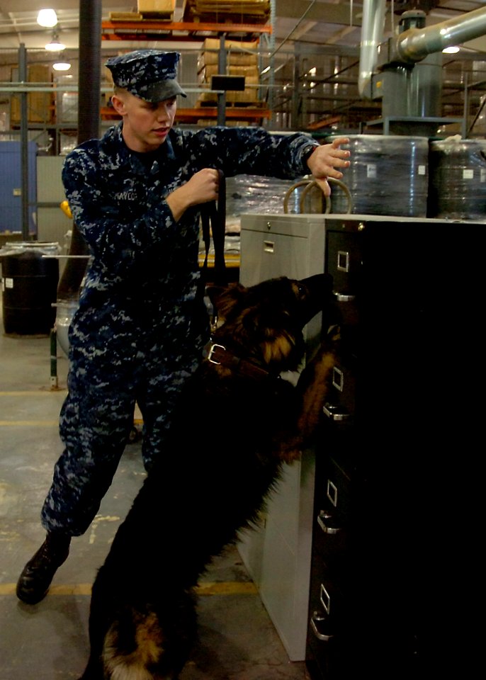 US Navy 110201-N-8132M-225 Master-at-Arms Seaman Brandon Taylor conducts an explosive proficiency evolution inside of a public works warehouse at J