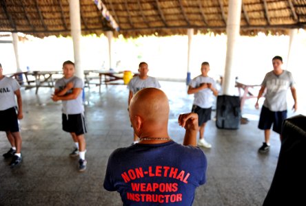 US Navy 110201-N-2984R-321 Chief Master-at-Arms Rodrigo Celones explains proper striking techniques to a group of Guatemalan sailors participating photo