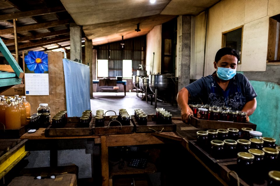 USAID Measuring Impact Conservation Enterprise Retrospective (Philippines; Kalahan Educational Foundation) (40291911901)