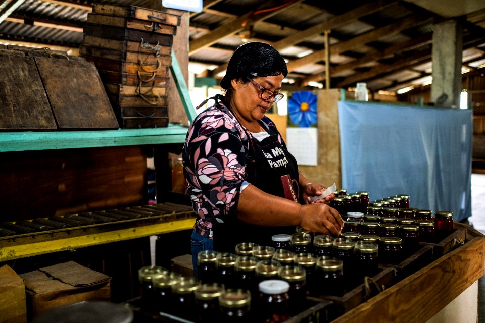 USAID Measuring Impact Conservation Enterprise Retrospective (Philippines; Kalahan Educational Foundation) (40291886041)