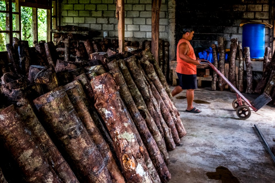 USAID Measuring Impact Conservation Enterprise Retrospective (Philippines; Kalahan Educational Foundation) (40247303812)