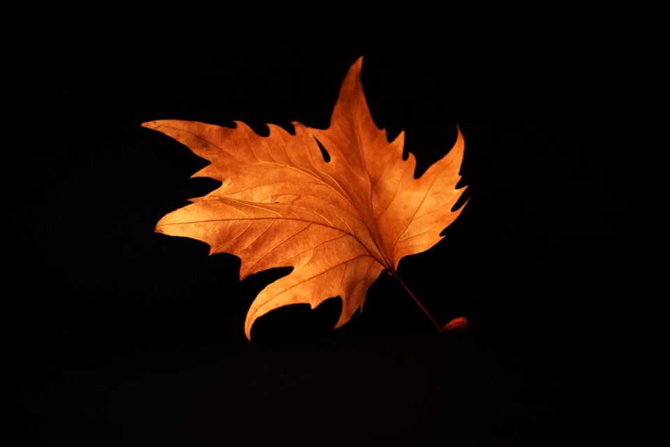 Black background simple brown