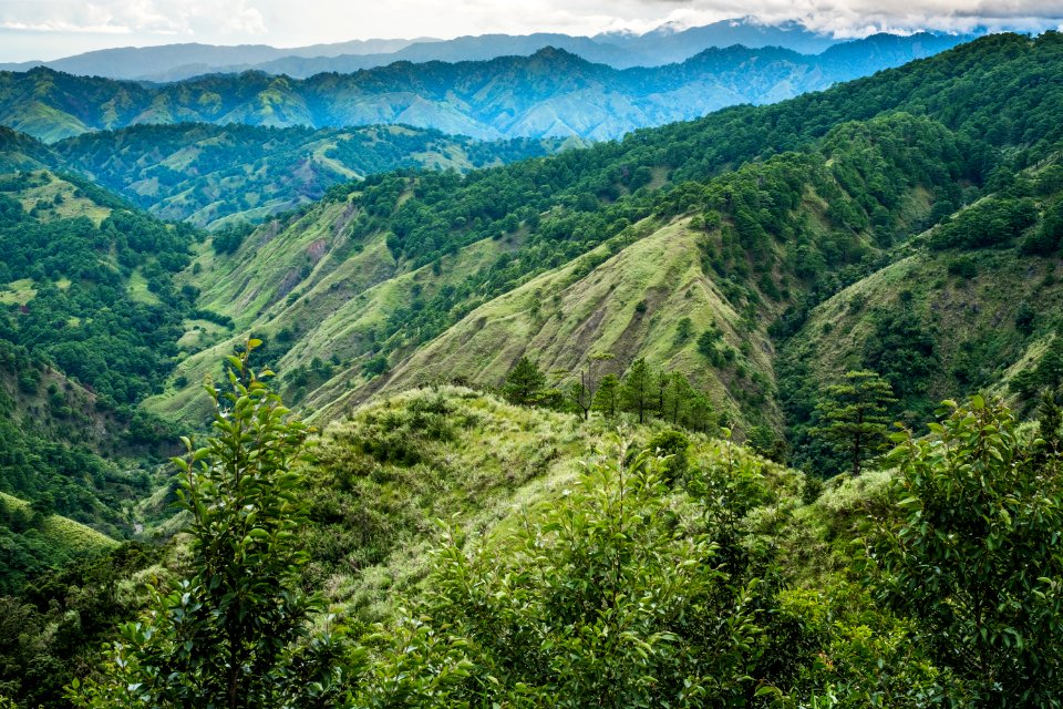 USAID Measuring Impact Conservation Enterprise Retrospective (Philippines; Kalahan Educational Foundation) (40247190852)
