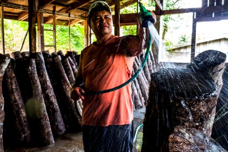 USAID Measuring Impact Conservation Enterprise Retrospective (Philippines; Kalahan Educational Foundation) (39580972484)