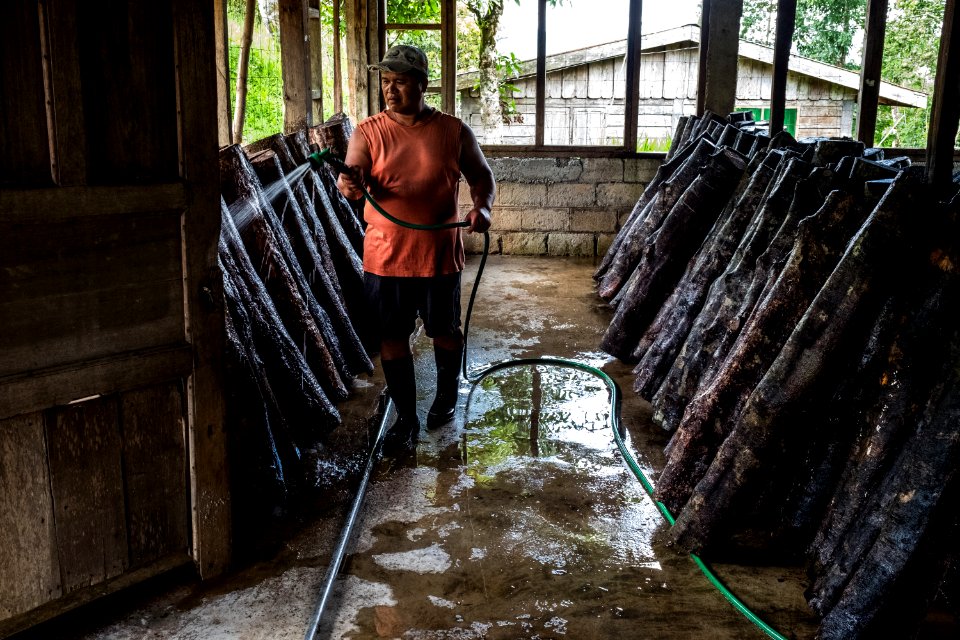 USAID Measuring Impact Conservation Enterprise Retrospective (Philippines; Kalahan Educational Foundation) (39395147385)
