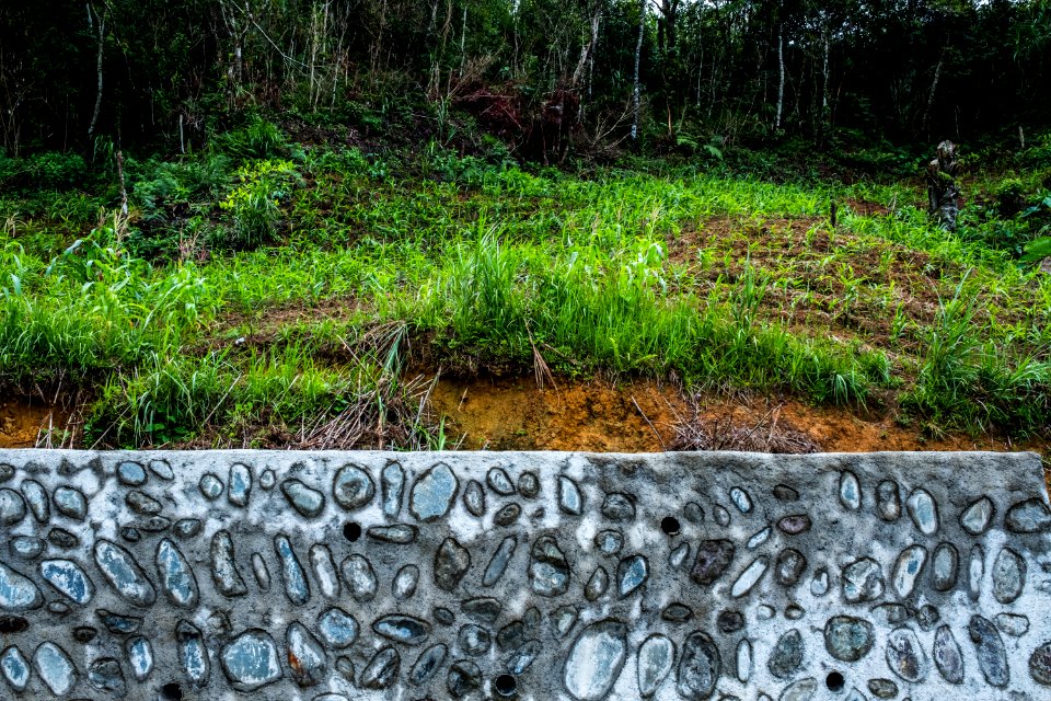 USAID Measuring Impact Conservation Enterprise Retrospective (Philippines; Kalahan Educational Foundation) (39394986405)