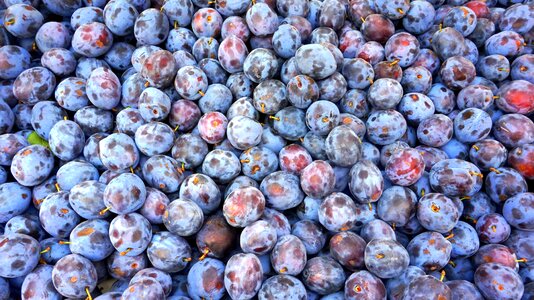 Food berry fruits