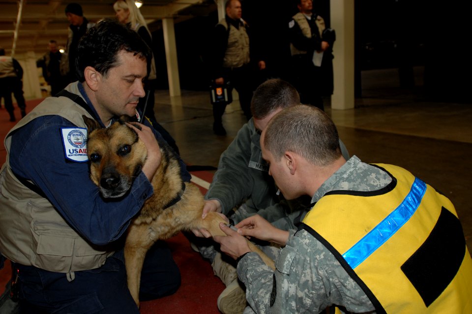 US Navy 110313-N-ZI955-023 Staff Sgt. Travis Lausier, right, and Spc. Jason Hayes, both assigned to the Japan District Veterinary Command, Misawa B