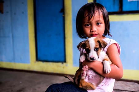 USAID Measuring Impact Conservation Enterprise Retrospective (Philippines; Kalahan Educational Foundation) (26420143098)