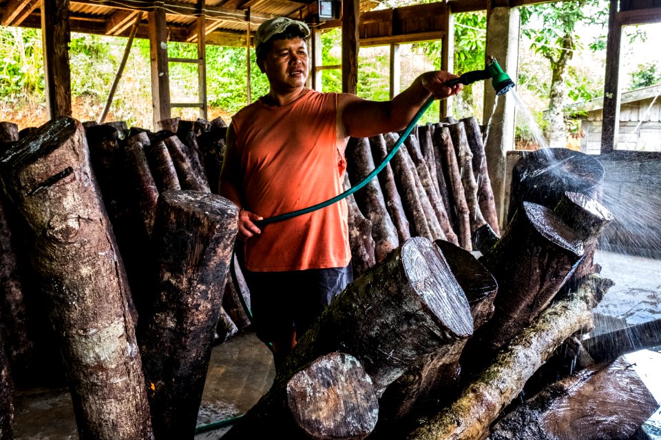 USAID Measuring Impact Conservation Enterprise Retrospective (Philippines; Kalahan Educational Foundation) (26420104968)