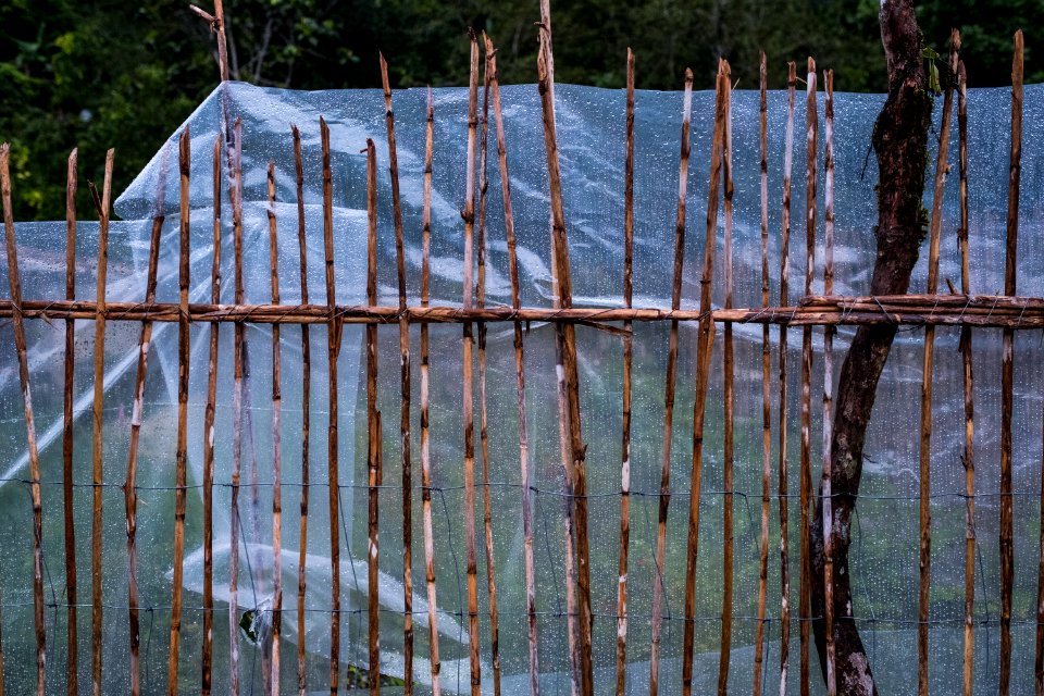 USAID Measuring Impact Conservation Enterprise Retrospective (Philippines; Kalahan Educational Foundation) (25421391357)