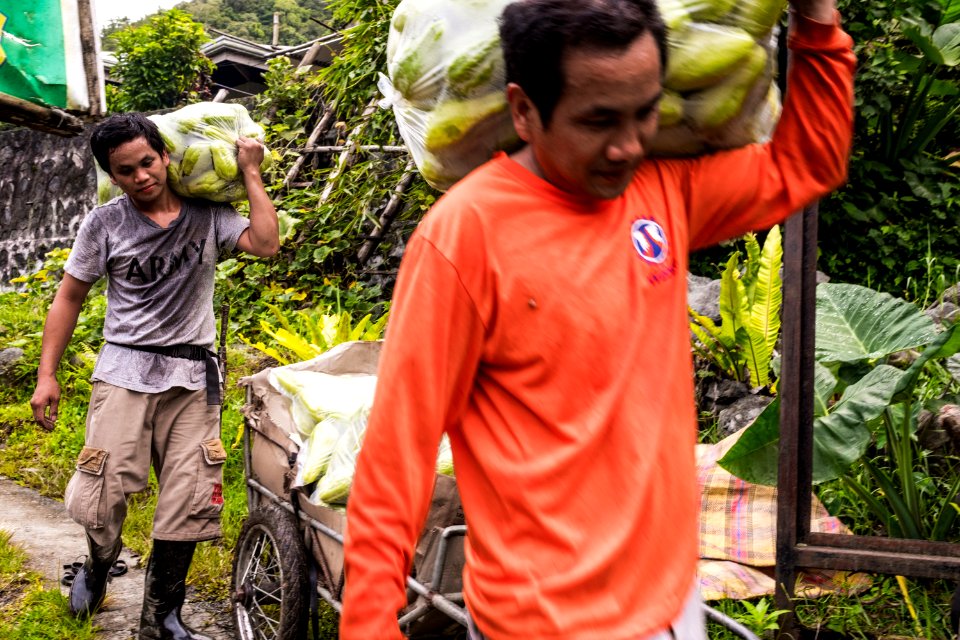 USAID Measuring Impact Conservation Enterprise Retrospective (Philippines; Kalahan Educational Foundation) (26419360798)