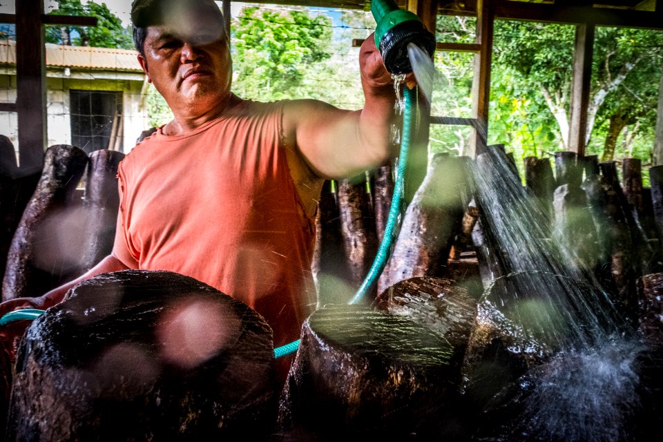 USAID Measuring Impact Conservation Enterprise Retrospective (Philippines; Kalahan Educational Foundation) (25421305177)