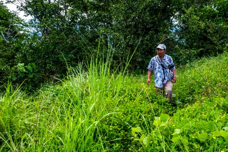 USAID Measuring Impact Conservation Enterprise Retrospective (Philippines; Kalahan Educational Foundation) (25421251567)