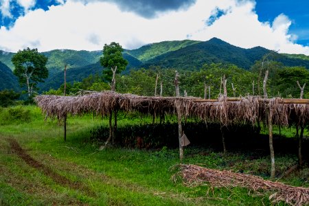 USAID Measuring Impact Conservation Enterprise Retrospective (Philippines; Kalahan Educational Foundation) (25421255347)