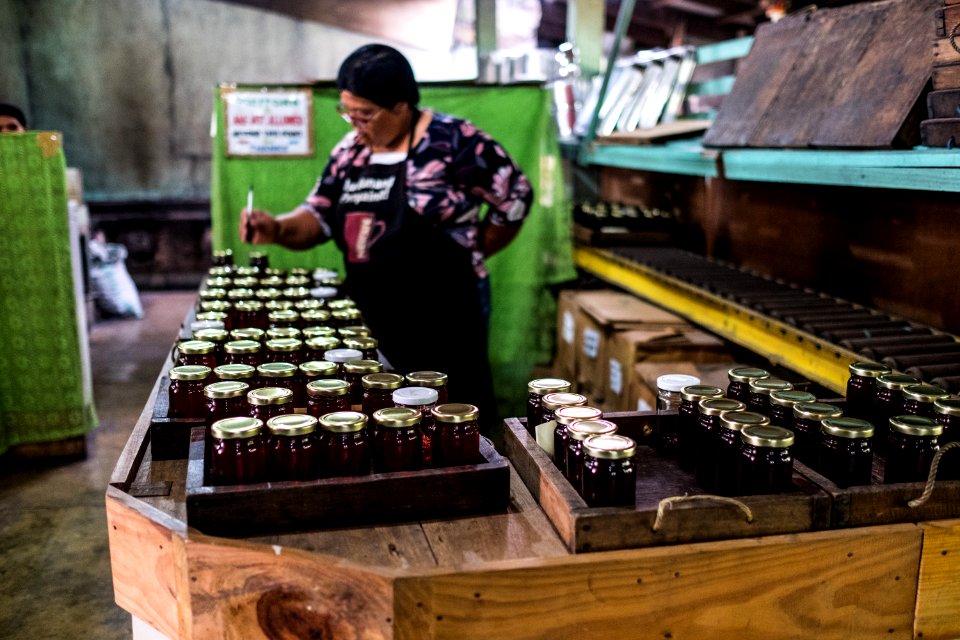 USAID Measuring Impact Conservation Enterprise Retrospective (Philippines; Kalahan Educational Foundation) (25420609627)