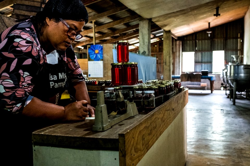 USAID Measuring Impact Conservation Enterprise Retrospective (Philippines; Kalahan Educational Foundation) (25420625907)