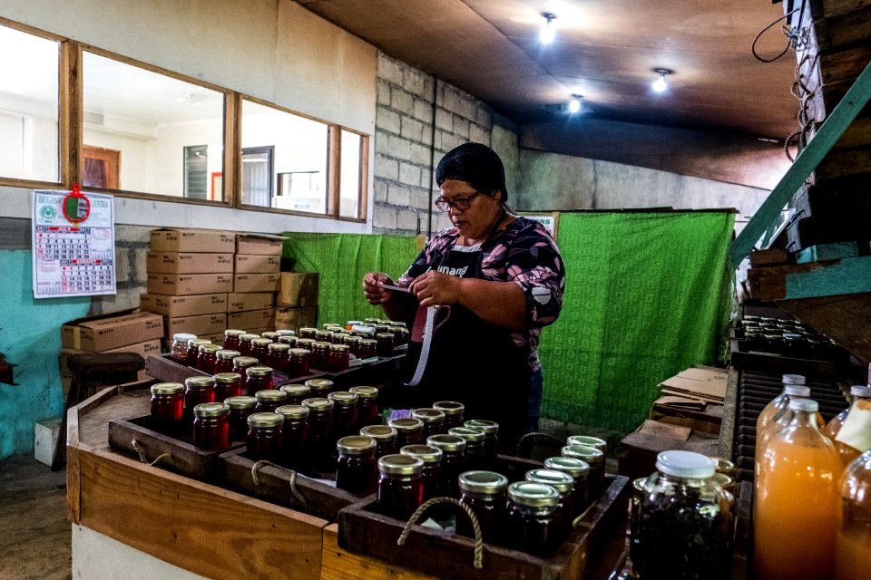 USAID Measuring Impact Conservation Enterprise Retrospective (Philippines; Kalahan Educational Foundation) (25420719017)
