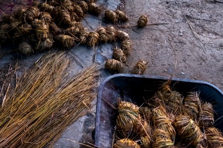 USAID Measuring Impact Conservation Enterprise Retrospective (Nepal; National Trust for Nature Conservation) (40301396881)