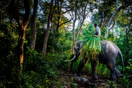 USAID Measuring Impact Conservation Enterprise Retrospective (Nepal; National Trust for Nature Conservation) (40301463261)