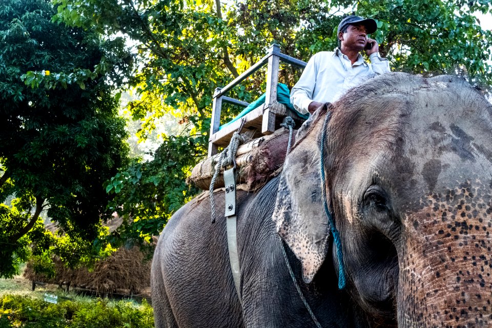 USAID Measuring Impact Conservation Enterprise Retrospective (Nepal; National Trust for Nature Conservation) (40301468231)