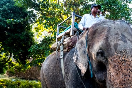 USAID Measuring Impact Conservation Enterprise Retrospective (Nepal; National Trust for Nature Conservation) (40301468231)