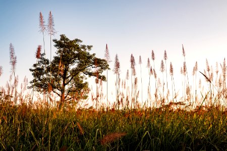 USAID Measuring Impact Conservation Enterprise Retrospective (Nepal; National Trust for Nature Conservation) (40301493931)