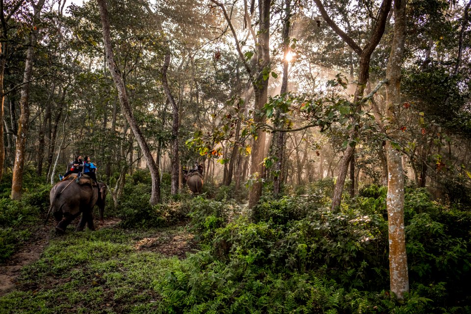 USAID Measuring Impact Conservation Enterprise Retrospective (Nepal; National Trust for Nature Conservation) (40301076241)